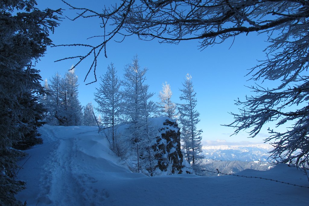 09 der Steig ist sehr gut zu gehen.JPG